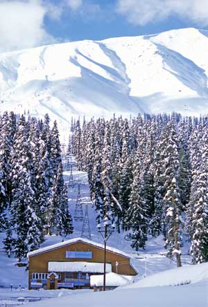 Skiing at Gulmarg