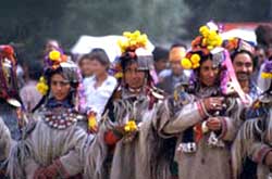 Drokpa ladies in traditional costumes